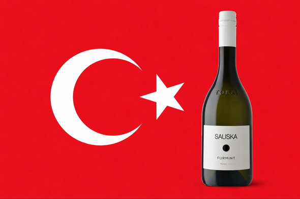 771da7e62dcff2efc7a6922bfc8be3f0c3bb4947.d7a1accabe2970f62bba3ed28ffa32010d0d9d13.1770577216